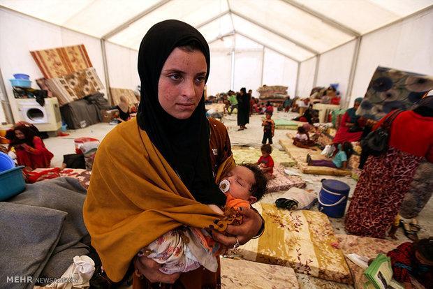 شماری از پناهجویان افغانستانی ازآلمان به کشور خود بازگردانده شماری از پناهجویان افغانستانی ازآلمان به کشور خود بازگردانده شدند