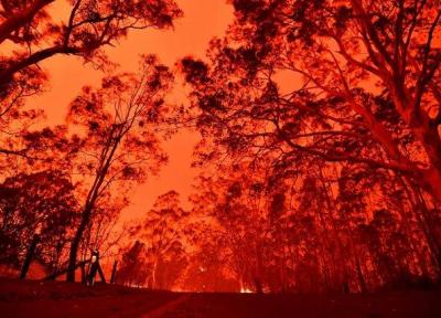 دنیاِ پس از آتش سوزی استرالیا چگونه خواهد بود؟