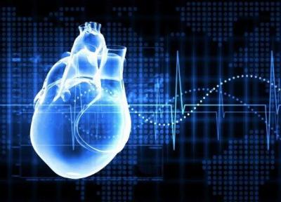 مدل جدید پیشگیری و درمان بیماری های قلبی عروقی ارائه شد