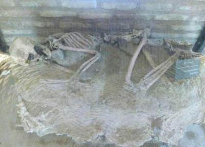 نمایش اسکلت 5 هزار ساله در موزه باستان شناسی نیشابور