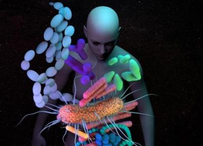 داستان عجیب میکروب های بدن پس از مرگ انسان