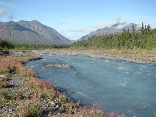 راهنمای ماجراجویی در پارک ملی Kluane کانادا