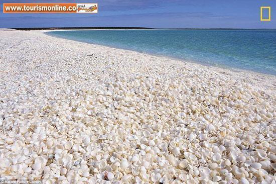 دریا درمانی در سواحل زیبای جهان دریا درمانی در سواحل زیبای جهان